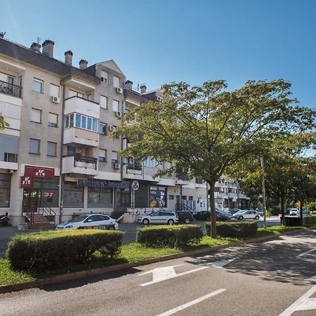 Apartman Vukcevic Podgorica Bagian luar foto